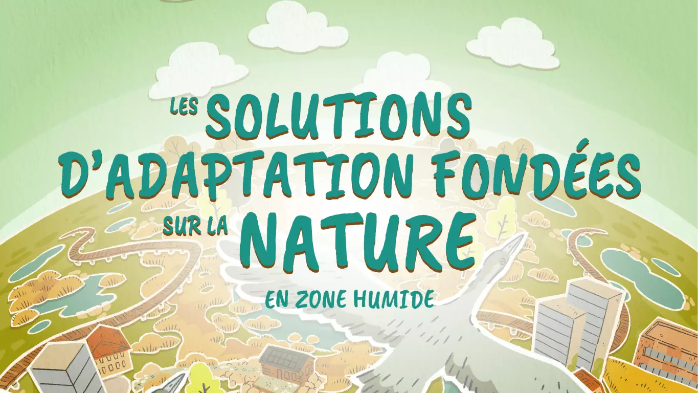 vignette de la vidéo pour Infolys, Les solutions fondées sur la nature
